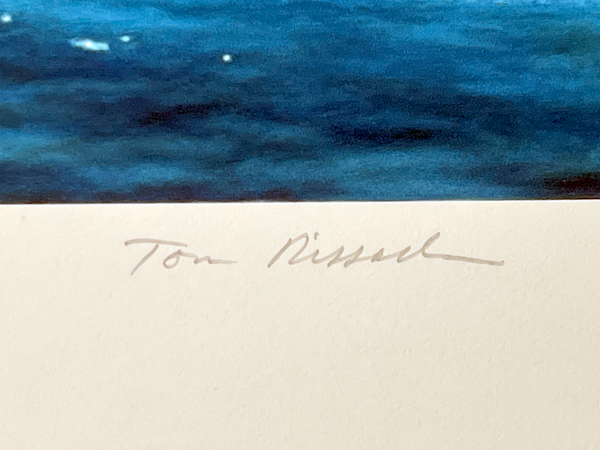 "Reef Pass" - Tom Rissacher
