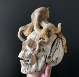 Carved Human Skull with Octopus