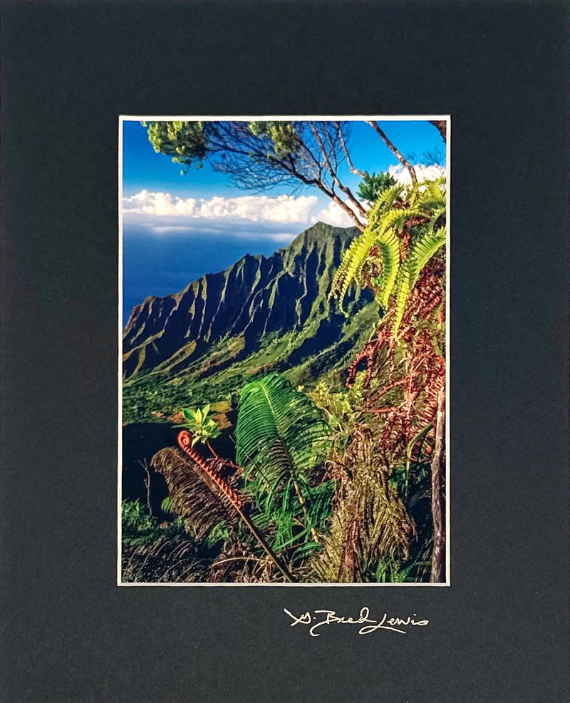 Image 16, Kilauea Volcano, Hawai'i - 8x10 Photographic Print by Brad Lewis