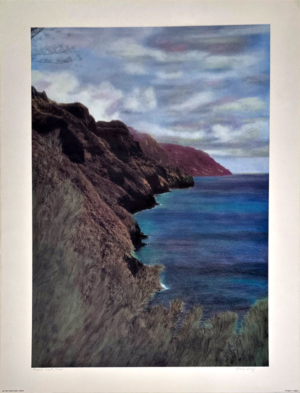 "Na Pali Coast, Kauai" Poster - Diane Ferry