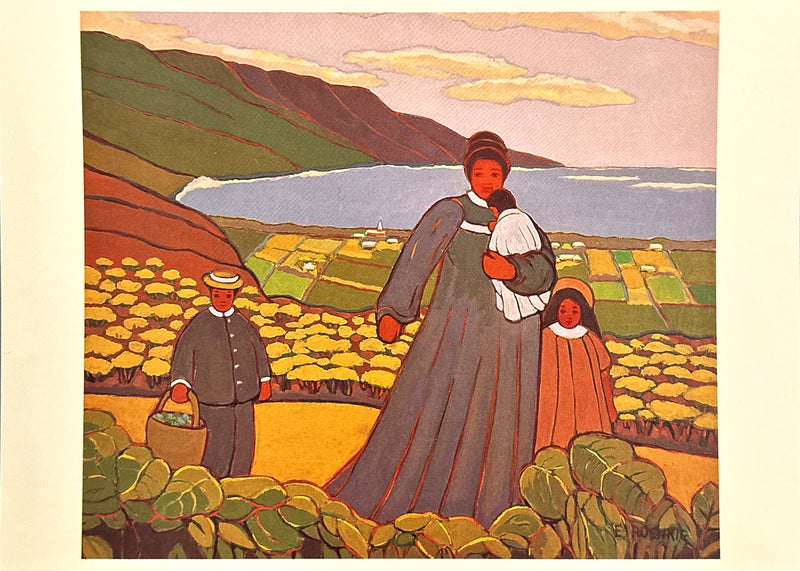 "Along the Hamakua Coast" Postcard  - Ethel Roehrig