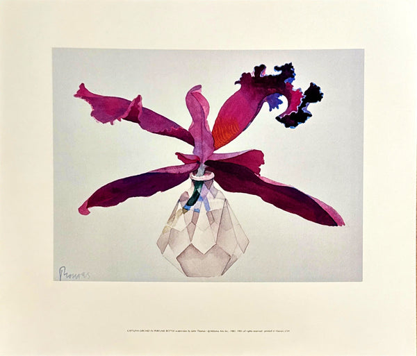 "Cattleya Orchid in Perfume Bottle" Print - John Paul Thomas