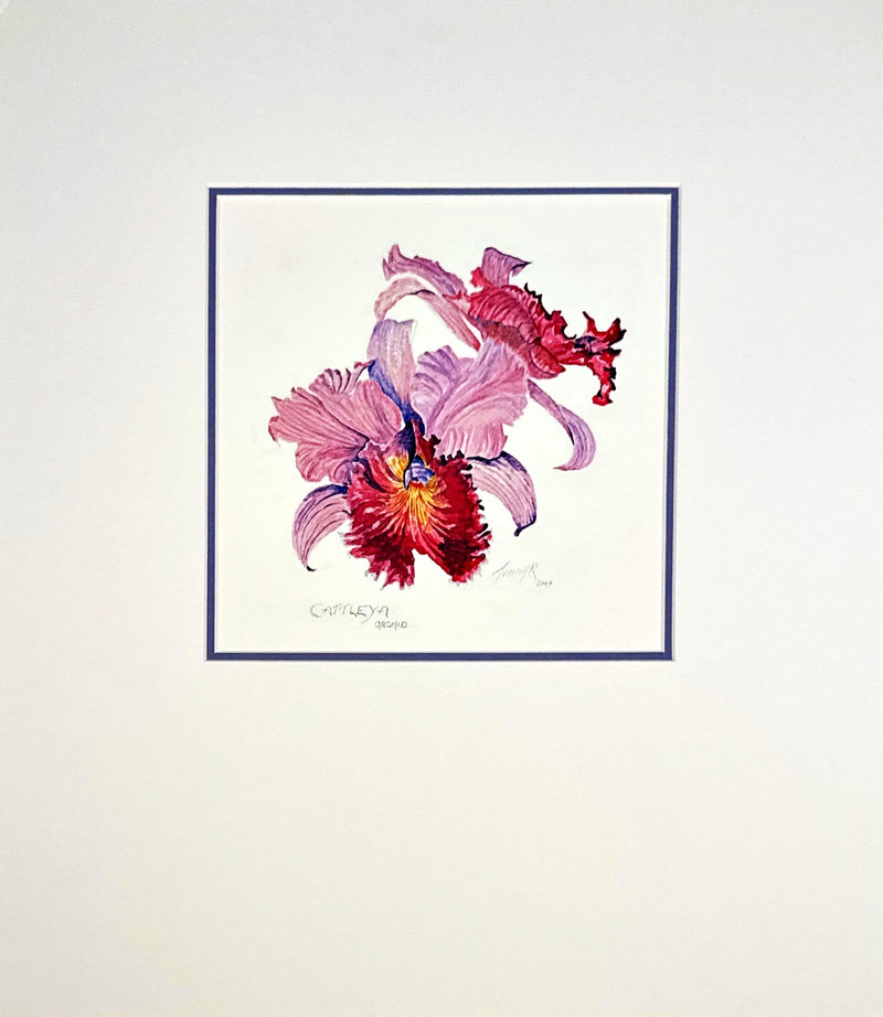 "Cattleya Orchid" Print - Linn Avattar