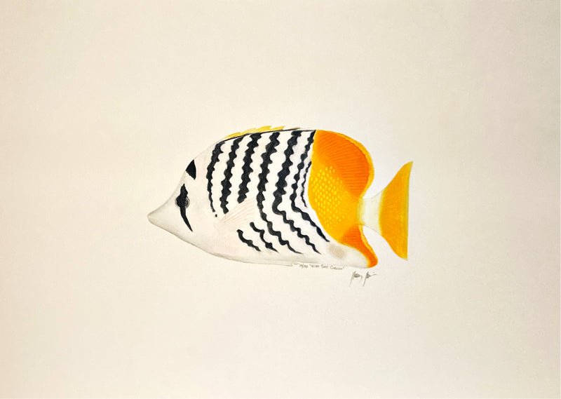 "Millet Seed Chevron Butterfly Fish" Signed Print 24/150 - Nevin