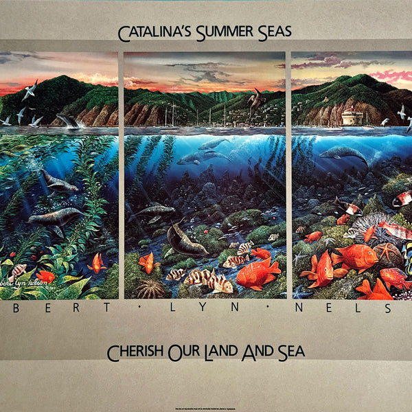 Catalina Summer Seas
