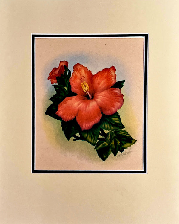 "Red Hibiscus" Print - T. J. Mundorf