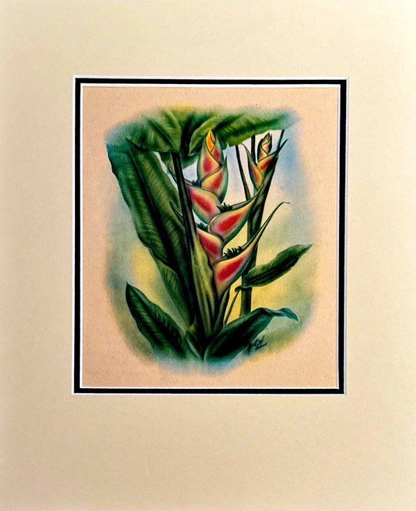 "Heliconia" Print - T. J. Mundorf