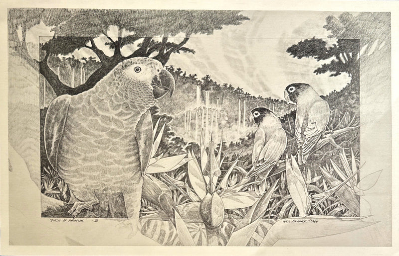 "Birds of Paradise" Print - Wes Bogner